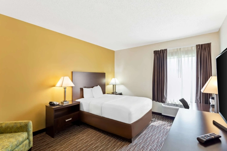 1 Bedroom Standard Double room