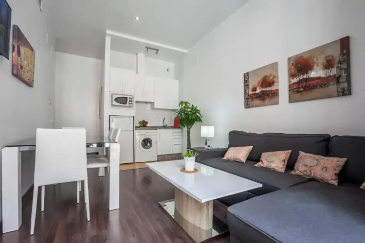 1 Bedroom Apartment