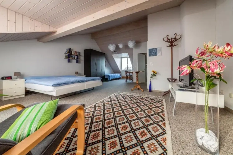 Standard Double room with balcony and with view