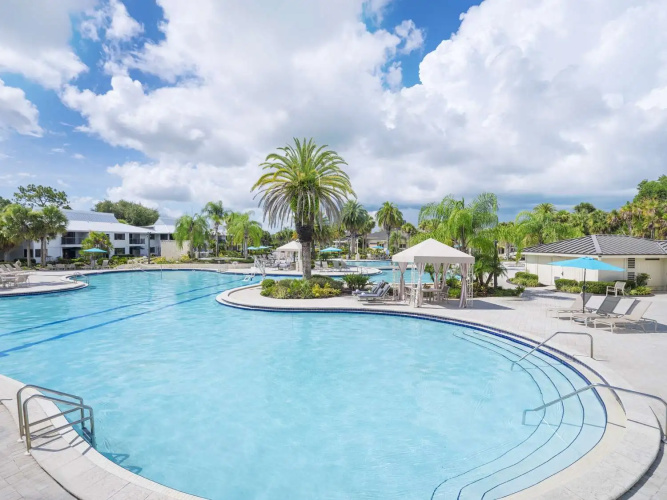 Saddlebrook Resort Tampa photo 16
