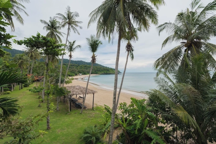 Standard Double room with balcony and with ocean view