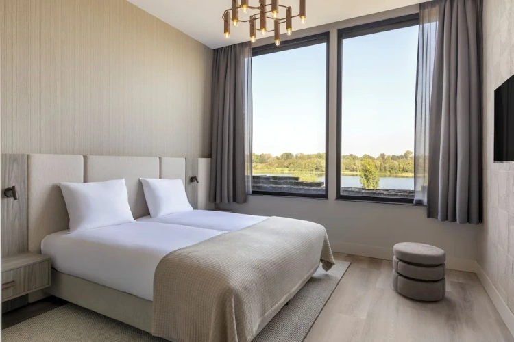 Standard Double room with lake view