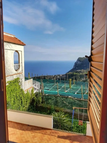 Standard Quadruple room with view