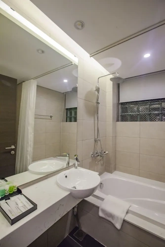 Deluxe Studio with city view