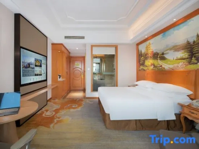Deluxe Double Family room