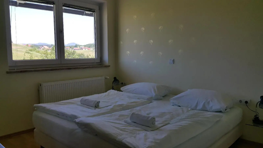 Apartments Plevnik
