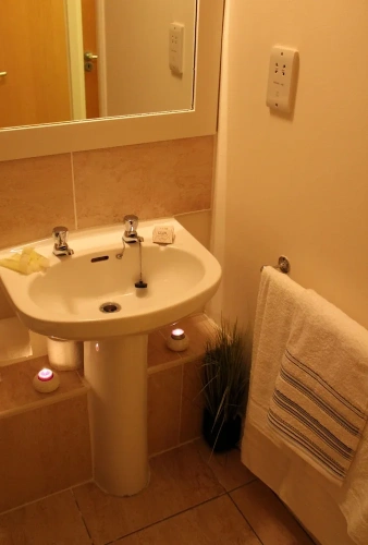 1 Bedroom Standard Apartment