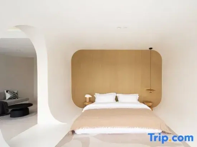 1 Bedroom Standard Double room