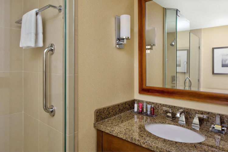 Wyndham Atlanta Buckhead Hotel & Conference Center photo 8