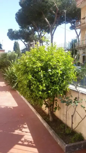 La Casetta Gialla di Edoardo