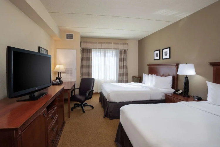 1 Bedroom Suite