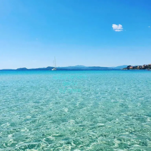 Appartamento delfini sul mare