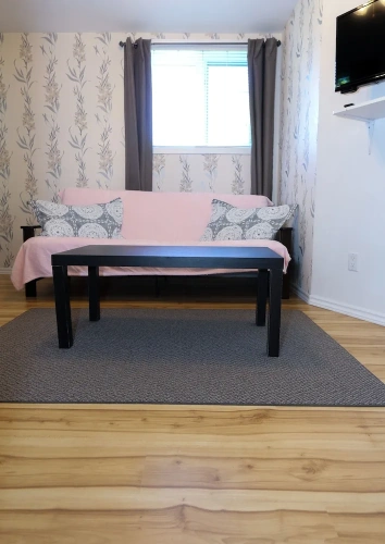 Standard Quadruple Family Basement room
