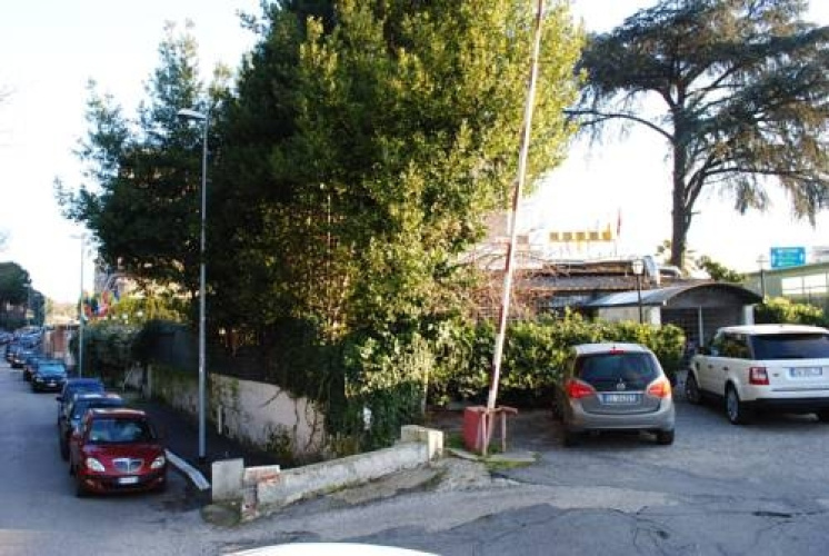 Hotel Rosen