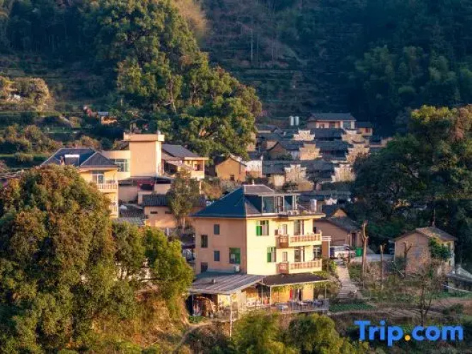 Songyang Weijun Farm Stay