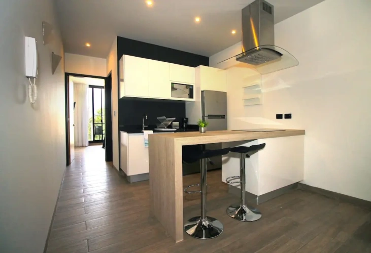1 Bedroom Apartment