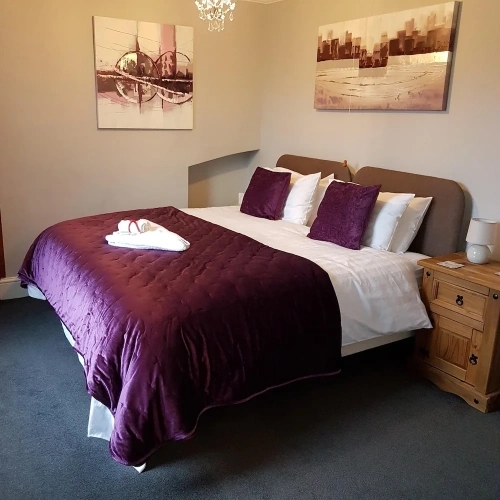 Superior Double room with river view