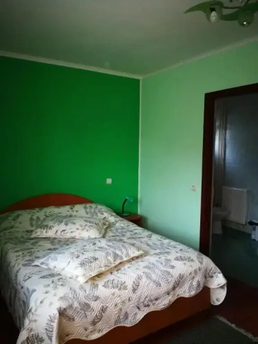 Standard Double room with mountain view