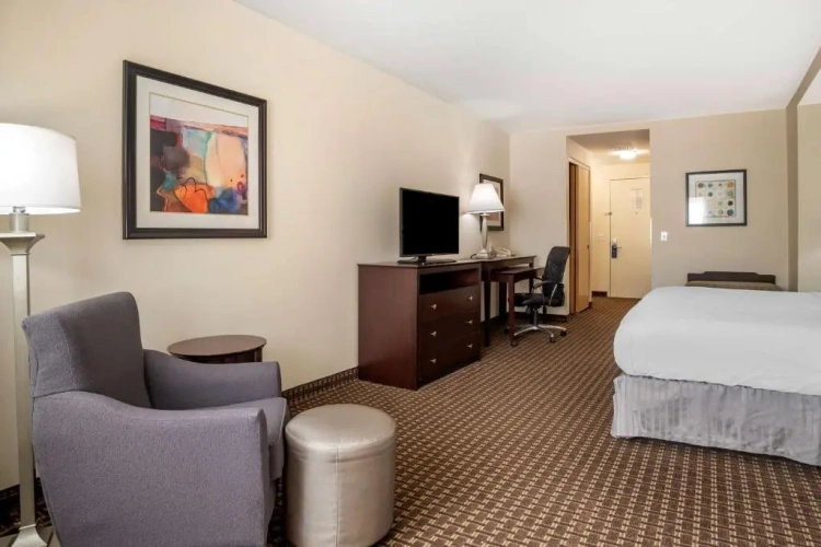 Business Double Suite