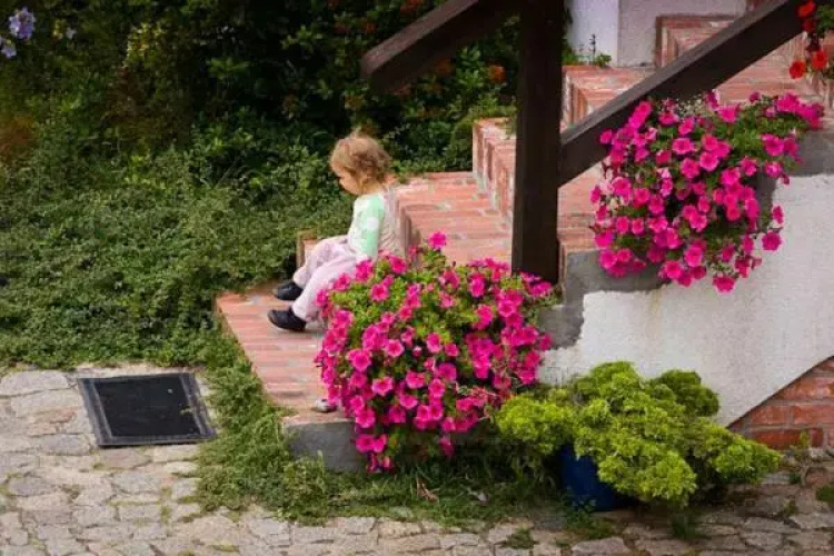 Spokój i Dobro