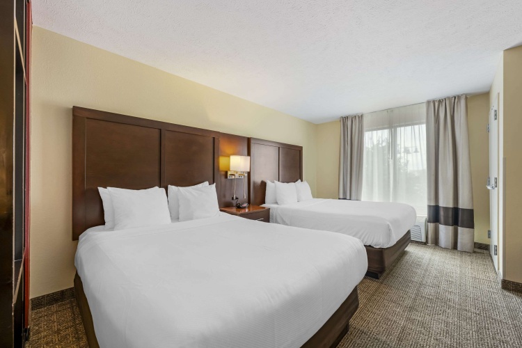 Quadruple Suite