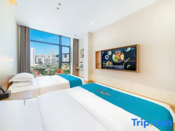 Standard Twin room with city view