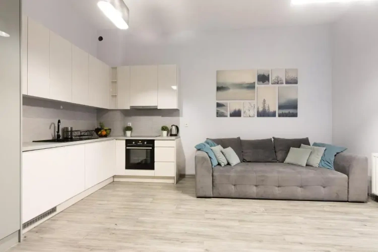1 Bedroom Apartment