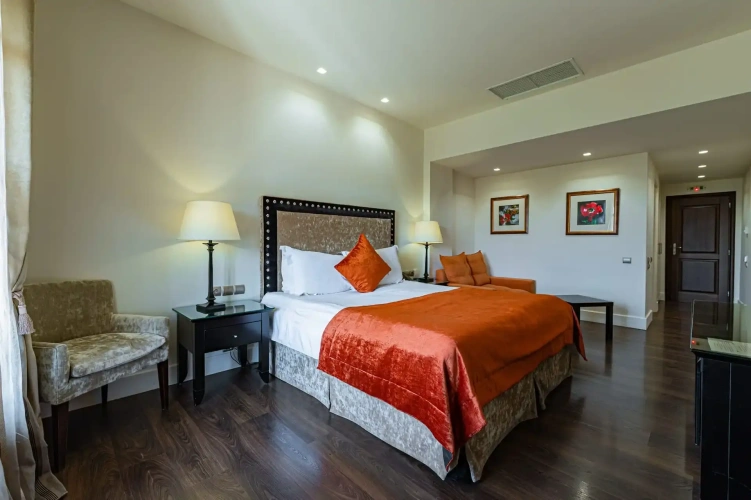 Deluxe Double room with balcony and with view