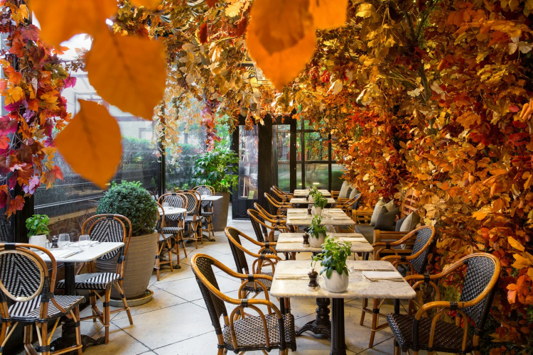 The Bloomsbury Hotel photo 25