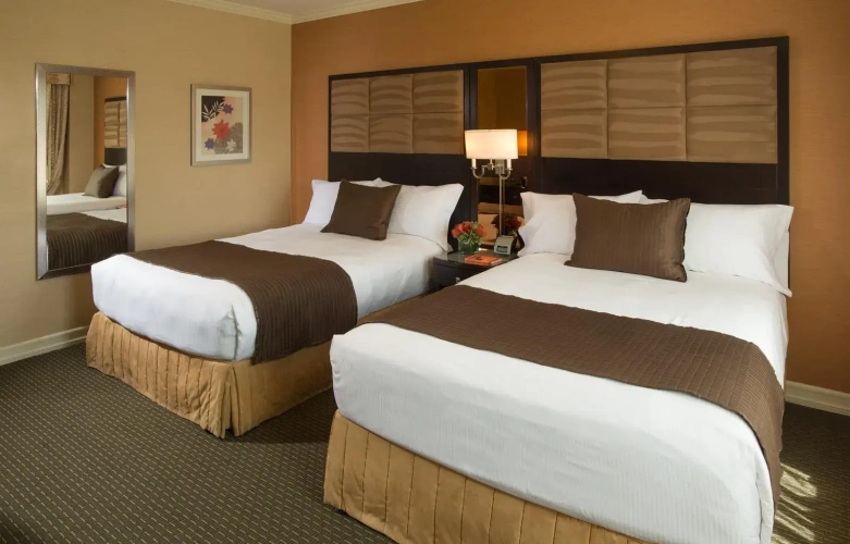 Deluxe Single Suite