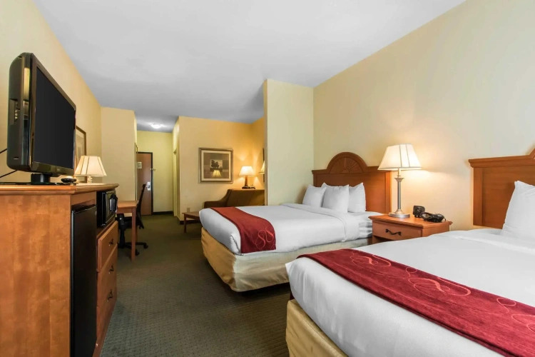 Double Suite
