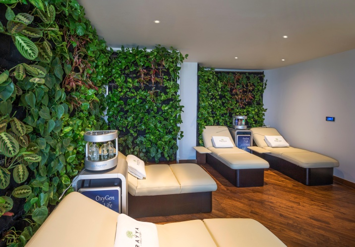 The Retreat Palm Dubai MGallery by Sofitel photo 35