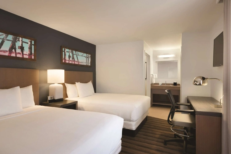 1 Bedroom Quadruple Suite