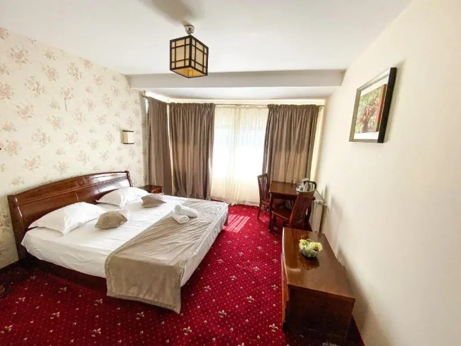 Standard Double room with balcony and with view