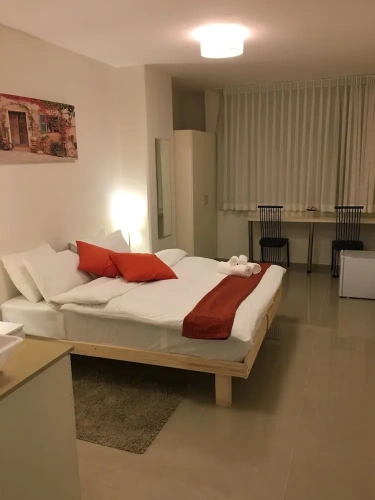 1 Bedroom Studio with city view