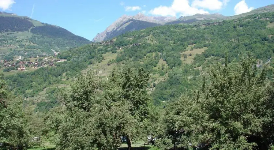 Sci La Plagne Paradise