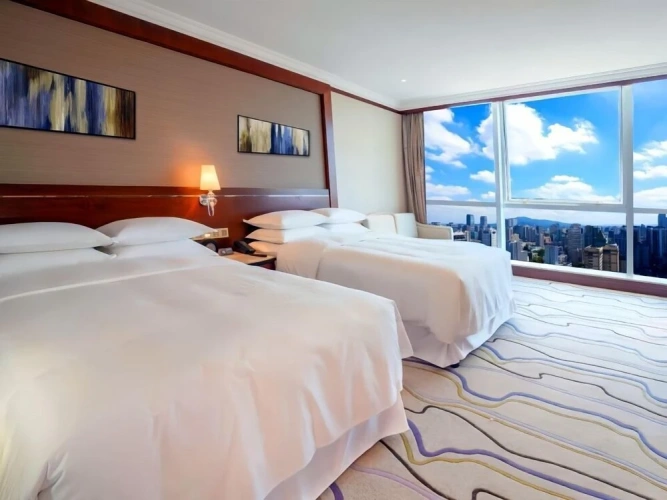 Classic Twin room with city view