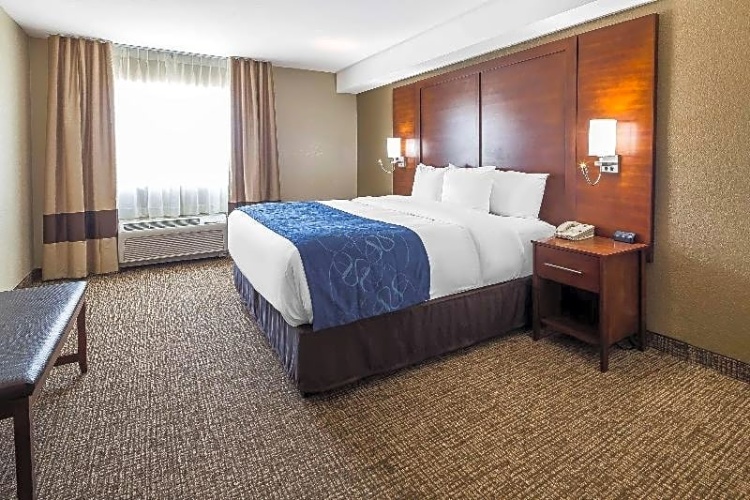 Standard Suite