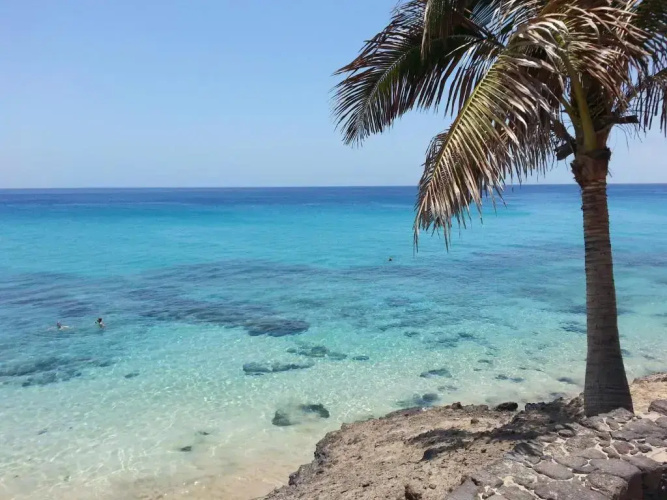 The Paradise On The Ocean 7