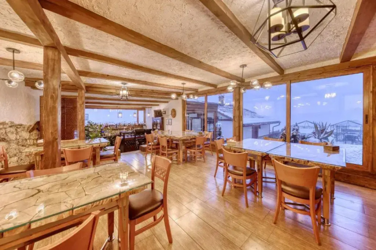 Hotel Alpine Castle