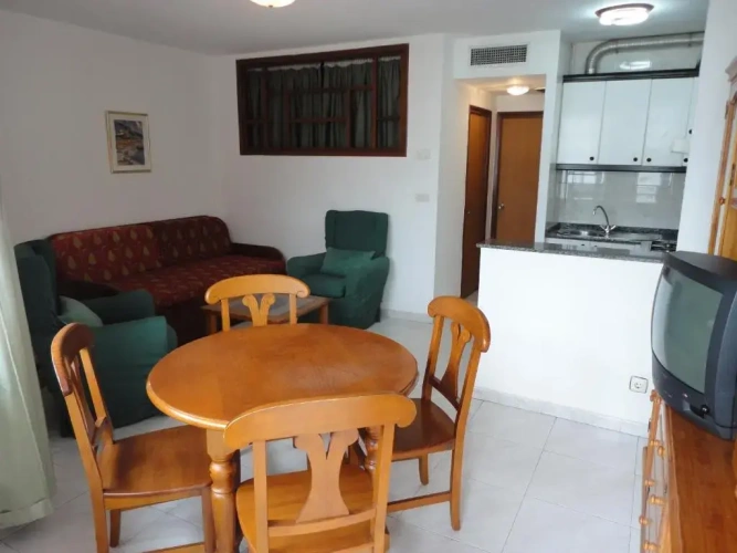1 Bedroom Apartment