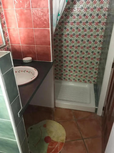 Casita Paloma