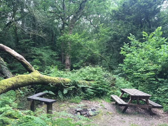Yurtcamp Devon
