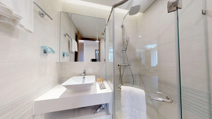 1 Bedroom Deluxe Apartment