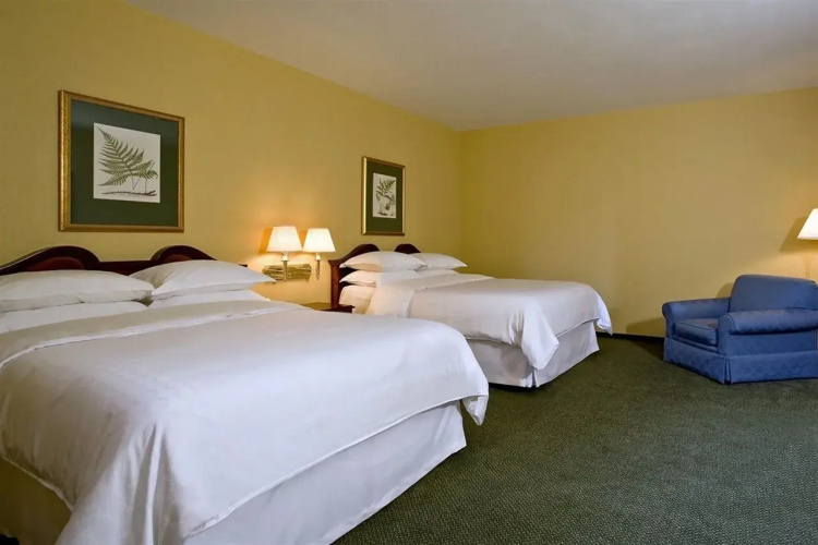 OYO Hotel St. Louis Downtown City Center MO