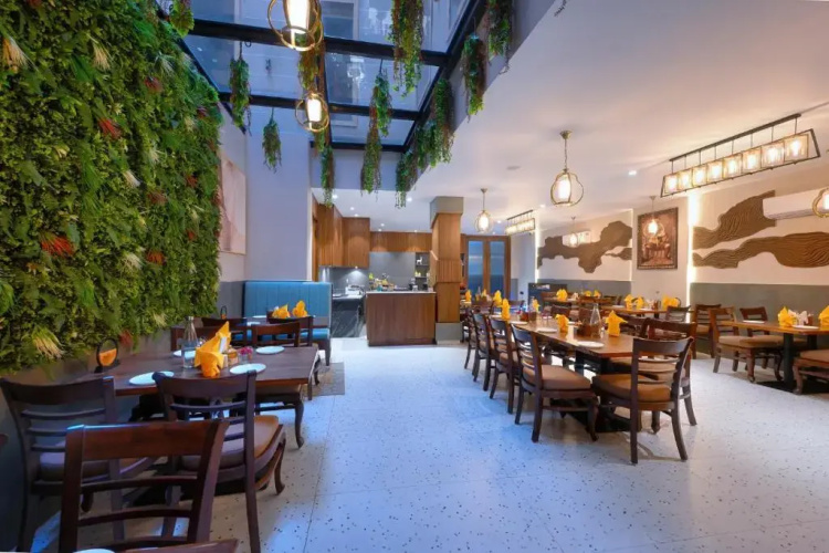 Nest By TreeHouse Stamp Amritsar