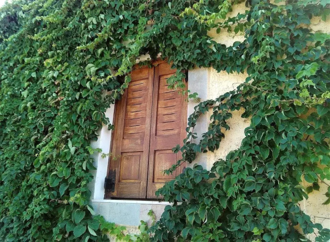 Kouremenos Beach Apartments