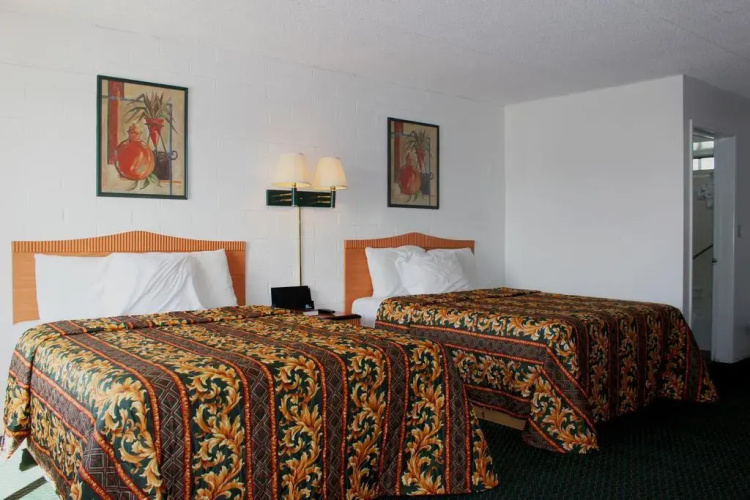 Amazon Motel