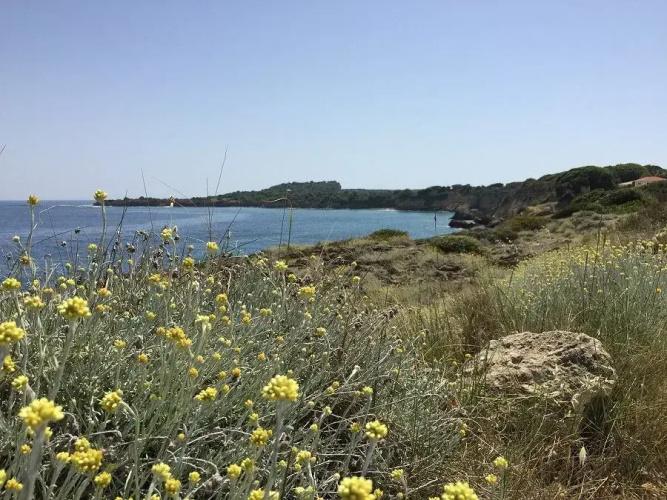 Loggos Summer House
