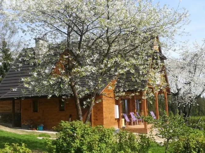 2 Bedrooms Chalet